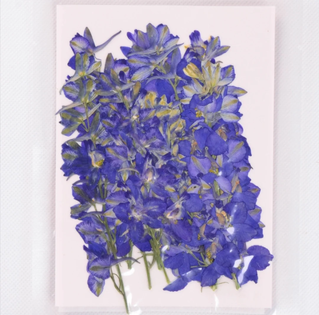 250pcs Pressed Dried Gaura Lindheimeri Flower With Branch For Epoxy Resin Pendant Necklace Jewelry Making Craft DIY Accessories
250pcs Pressed Dried Gaura Lindheimeri Flower With Branch For Epoxy Resin Pendant Necklace Jewelry Making Craft DIY Accessories