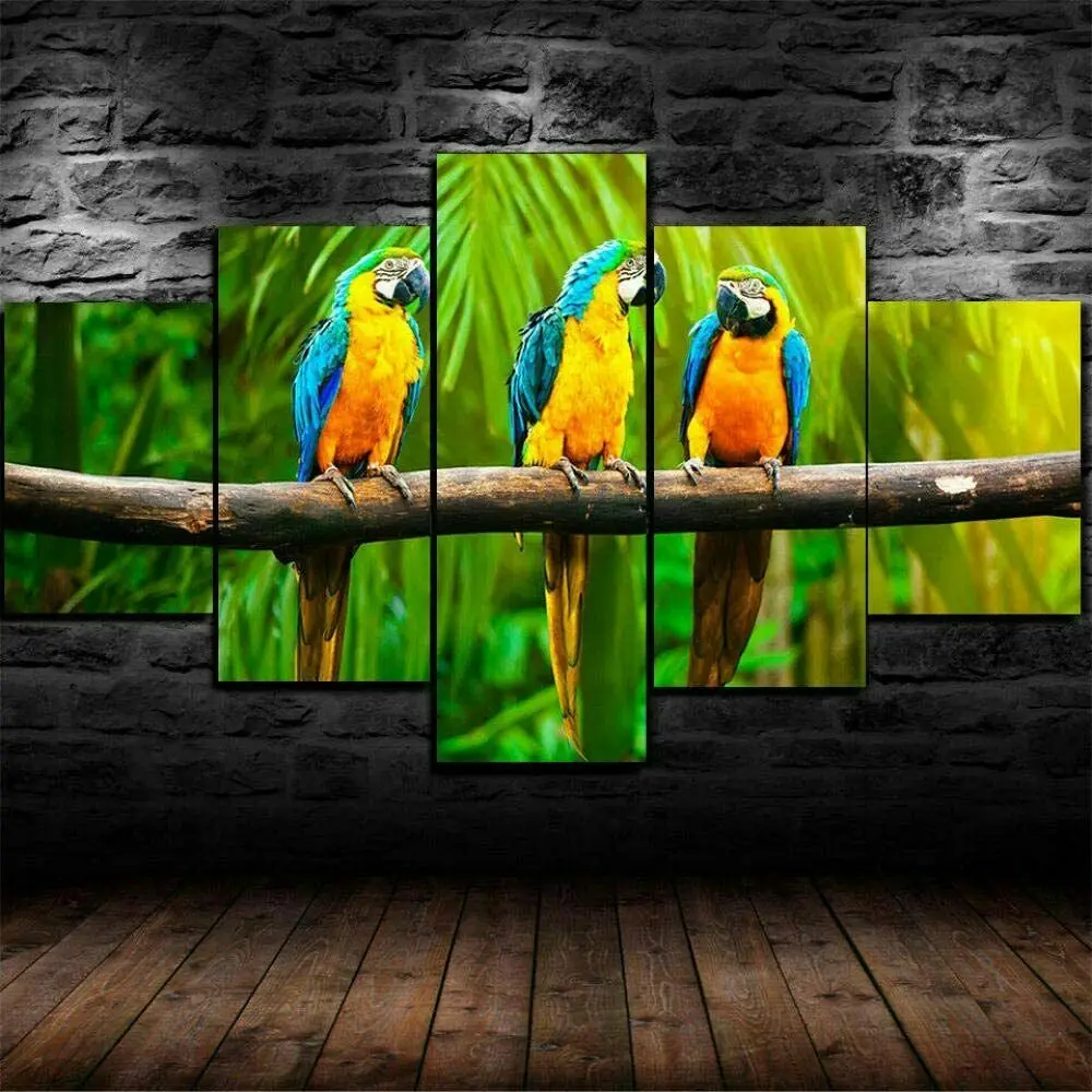 Macaw Parrots Birds Nature 5 Panel Canvas Picture Print Wall Art Canvas Painting Wall Decor for Living Room Poster No Framed
Macaw Parrots Birds Nature 5 Panel Canvas Picture Print Wall Art Canvas Painting Wall Decor for Living Room Poster No Framed