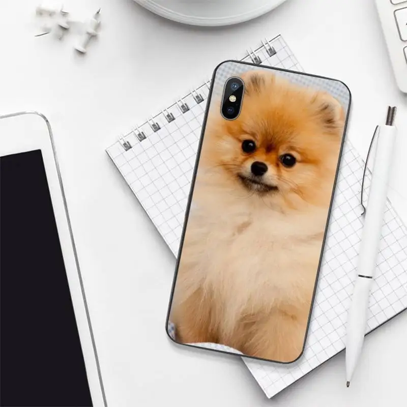 Pomeranian dogs dog Phone Case for iPhone 11 12 pro XS MAX 8 7 6 6S Plus X 5S SE 2020 mini
Pomeranian dogs dog Phone Case for iPhone 11 12 pro XS MAX 8 7 6 6S Plus X 5S SE 2020 mini