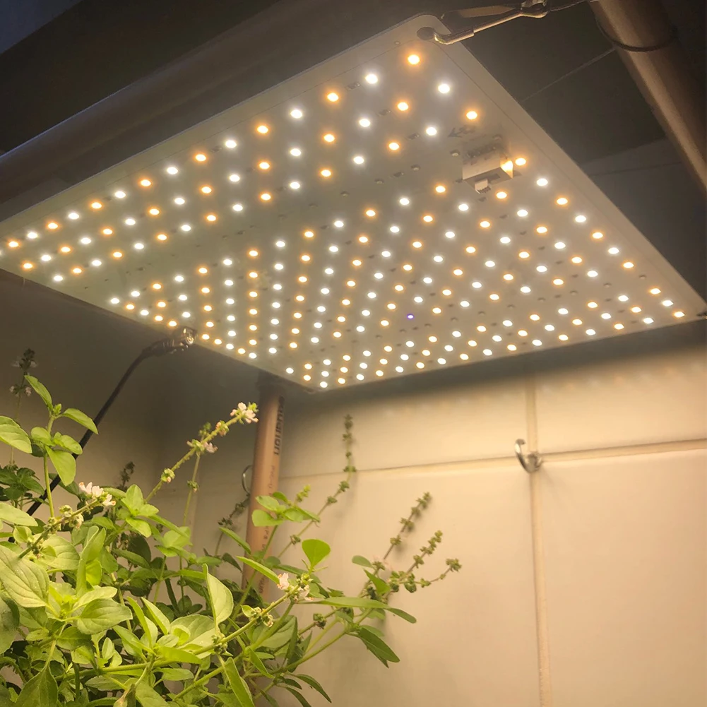 1000W LM281B Full Spectrum LED Grow Light Quantum Sunlike Grow Lamp For Greenhouse Plant Growth Lighting
1000W LM281B Full Spectrum LED Grow Light Quantum Sunlike Grow Lamp For Greenhouse Plant Growth Lighting