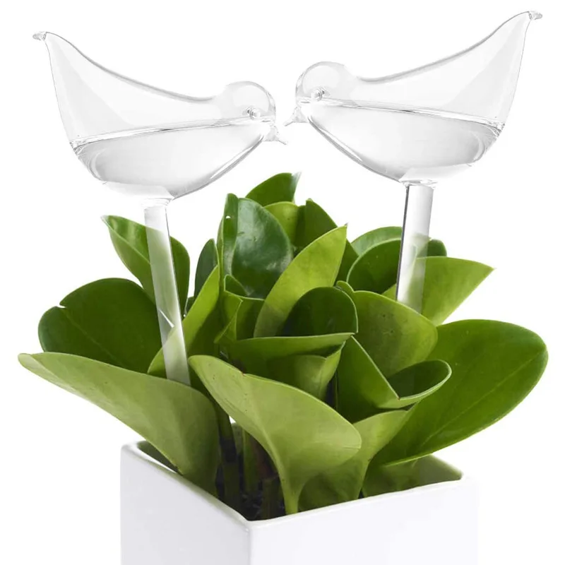 House/garden Water Houseplant Plant Pot Little Bird Automatic Self Watering Device Gardening Tools And Equipment Plant Watering
House/garden Water Houseplant Plant Pot Little Bird Automatic Self Watering Device Gardening Tools And Equipment Plant Watering