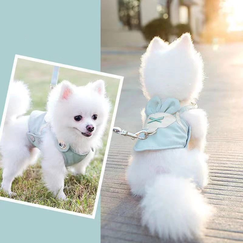 Pet Cat Pomeranian Yorkshire Teddy Cat Walking Dog Leash Small Dog Cute Vest Chest Strap Puppy Collar and Leash
Pet Cat Pomeranian Yorkshire Teddy Cat Walking Dog Leash Small Dog Cute Vest Chest Strap Puppy Collar and Leash
