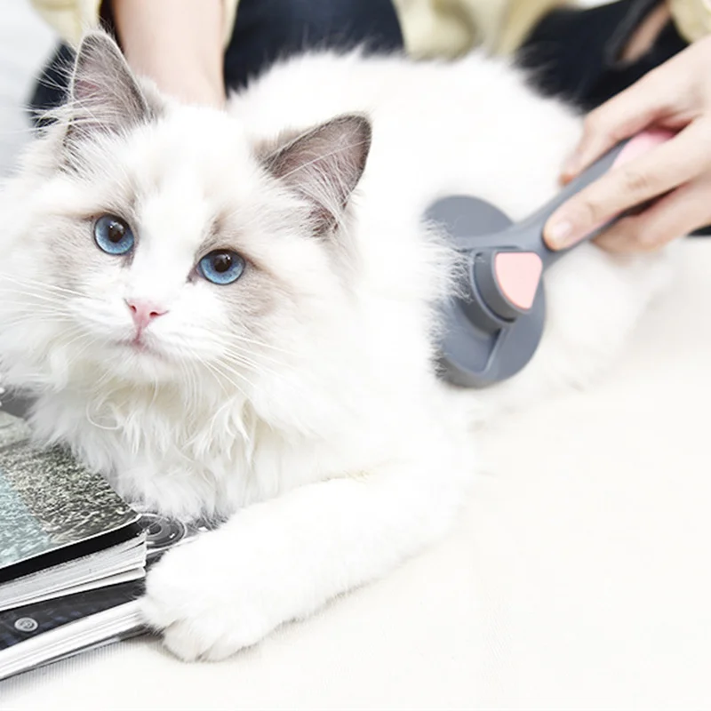 Cat Comb Dog Comb Cat Hair Brush Pet Dog Hair Special Needle Combs Cat Hair Cleaner Cleaning and Beauty Cleaning Slicker Brush
Cat Comb Dog Comb Cat Hair Brush Pet Dog Hair Special Needle Combs Cat Hair Cleaner Cleaning and Beauty Cleaning Slicker Brush