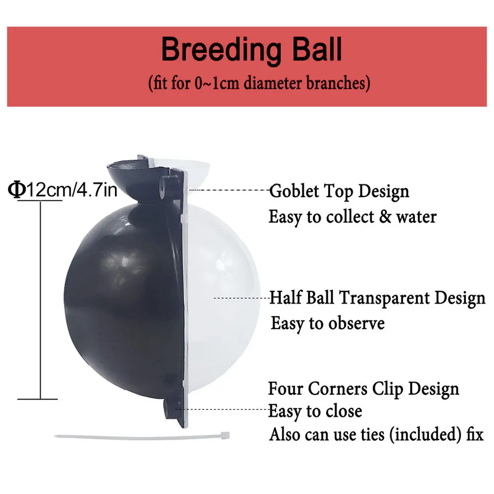 4PCS Plant Root Device Root Breeding Ball High Pressure Growing Spreading Garden Outdoor Plugs Propagation Greenhouse Boxes 
4PCS Plant Root Device Root Breeding Ball High Pressure Growing Spreading Garden Outdoor Plugs Propagation Greenhouse Boxes