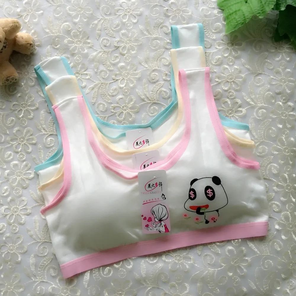 Adolescence Girl Bra Student Underwear Cute Cartoon Panda Bra Vest Comfortable Cotton Bras Training Bra
Adolescence Girl Bra Student Underwear Cute Cartoon Panda Bra Vest Comfortable Cotton Bras Training Bra