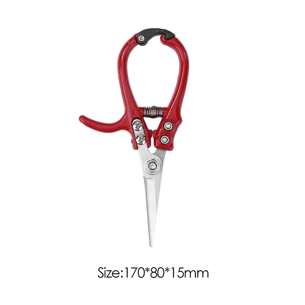 Labor-saving Garden Scissors Stainless Steel Spring Gardening Tree Pruning Shears Pruner Cutting Tool with Safety Buckle
Labor-saving Garden Scissors Stainless Steel Spring Gardening Tree Pruning Shears Pruner Cutting Tool with Safety Buckle