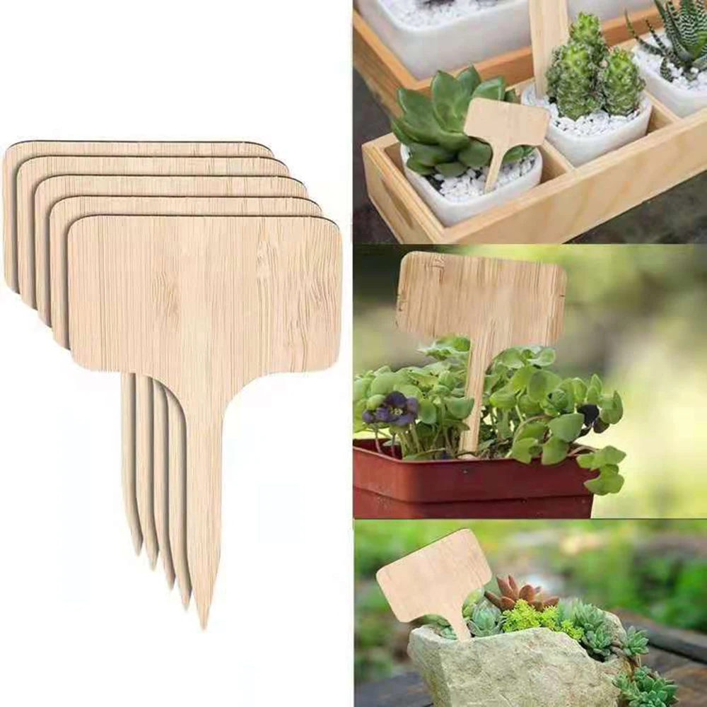 20pcs Bamboo Plant Labels Eco-Friendly Wooden Plant Sign Tags Garden Markers for Seed Potted Herbs Flowers Tools
20pcs Bamboo Plant Labels Eco-Friendly Wooden Plant Sign Tags Garden Markers for Seed Potted Herbs Flowers Tools