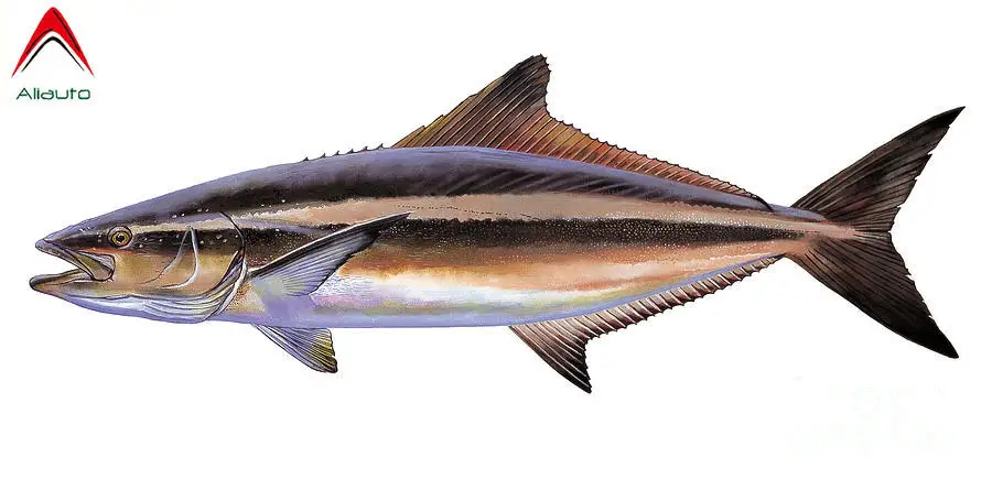 Aliauto Персонализированная наклейка на автомобиль Carp, виниловая Солнцезащитная Водонепроницаемая креативная декоративная наклейка, автомоб...
Aliauto Персонализированная наклейка на автомобиль Carp, виниловая Солнцезащитная Водонепроницаемая креативная декоративная наклейка, автомоб...