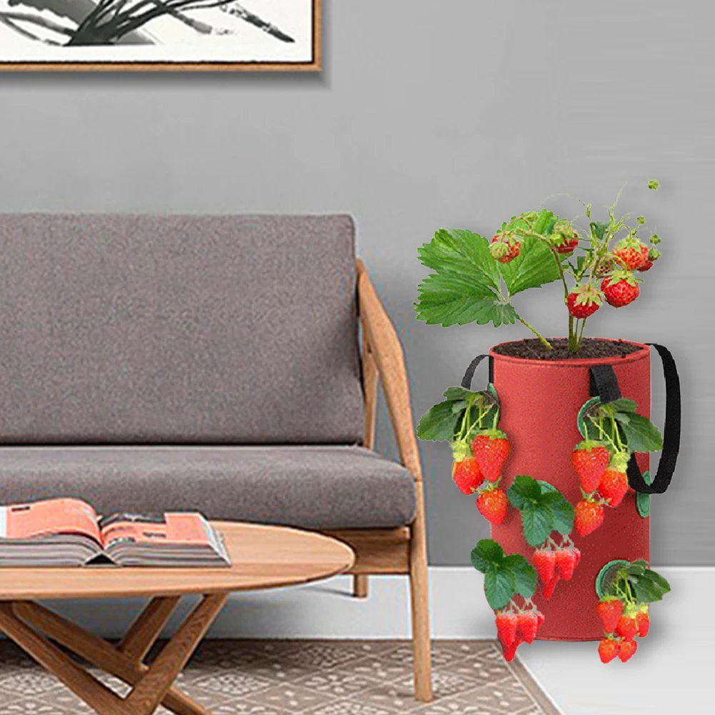 Beauty Strawberry Planting Bag Planting Tree Bag Garden Sweet Potato Potato Planting Bag Grow Bag Plant Growth Bag Potato Pot
Beauty Strawberry Planting Bag Planting Tree Bag Garden Sweet Potato Potato Planting Bag Grow Bag Plant Growth Bag Potato Pot