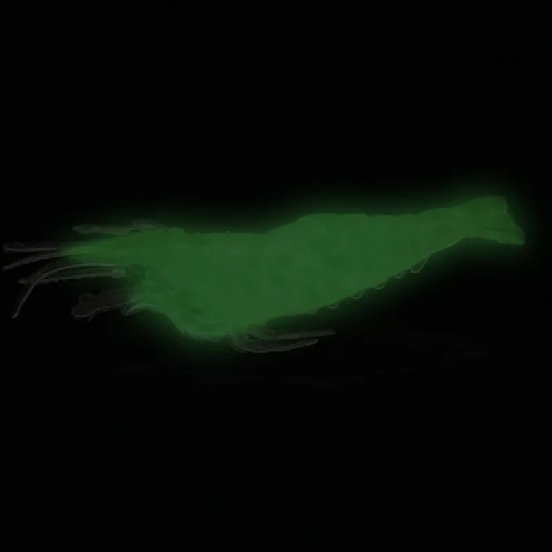 20PCS Fishing Lure Artificial Fake Bait Soft Luminous Grass Shrimp Jig Lure Outdoor Fishing With Fishy Smell
20PCS Fishing Lure Artificial Fake Bait Soft Luminous Grass Shrimp Jig Lure Outdoor Fishing With Fishy Smell