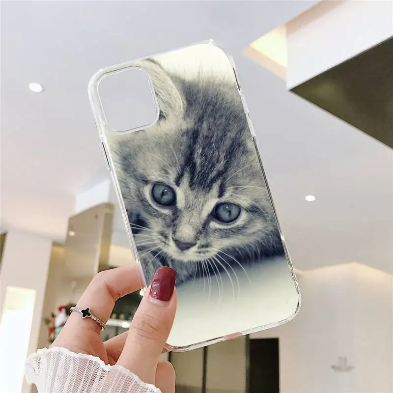 Cute Animal Lovely Pretty Cat Phone Case Transparent soft For iphone 5 5s 5c se 6 6s 7 8 11 12 plus mini x xs xr pro max
Cute Animal Lovely Pretty Cat Phone Case Transparent soft For iphone 5 5s 5c se 6 6s 7 8 11 12 plus mini x xs xr pro max