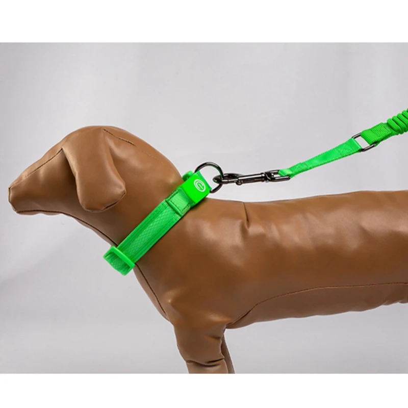 Dog Bungee Leashes Nylon Luminous Fluorescent LED Light USB Rechargeable Night Safety Flashing Glow In The Dark Pet Collar Leash
Dog Bungee Leashes Nylon Luminous Fluorescent LED Light USB Rechargeable Night Safety Flashing Glow In The Dark Pet Collar Leash