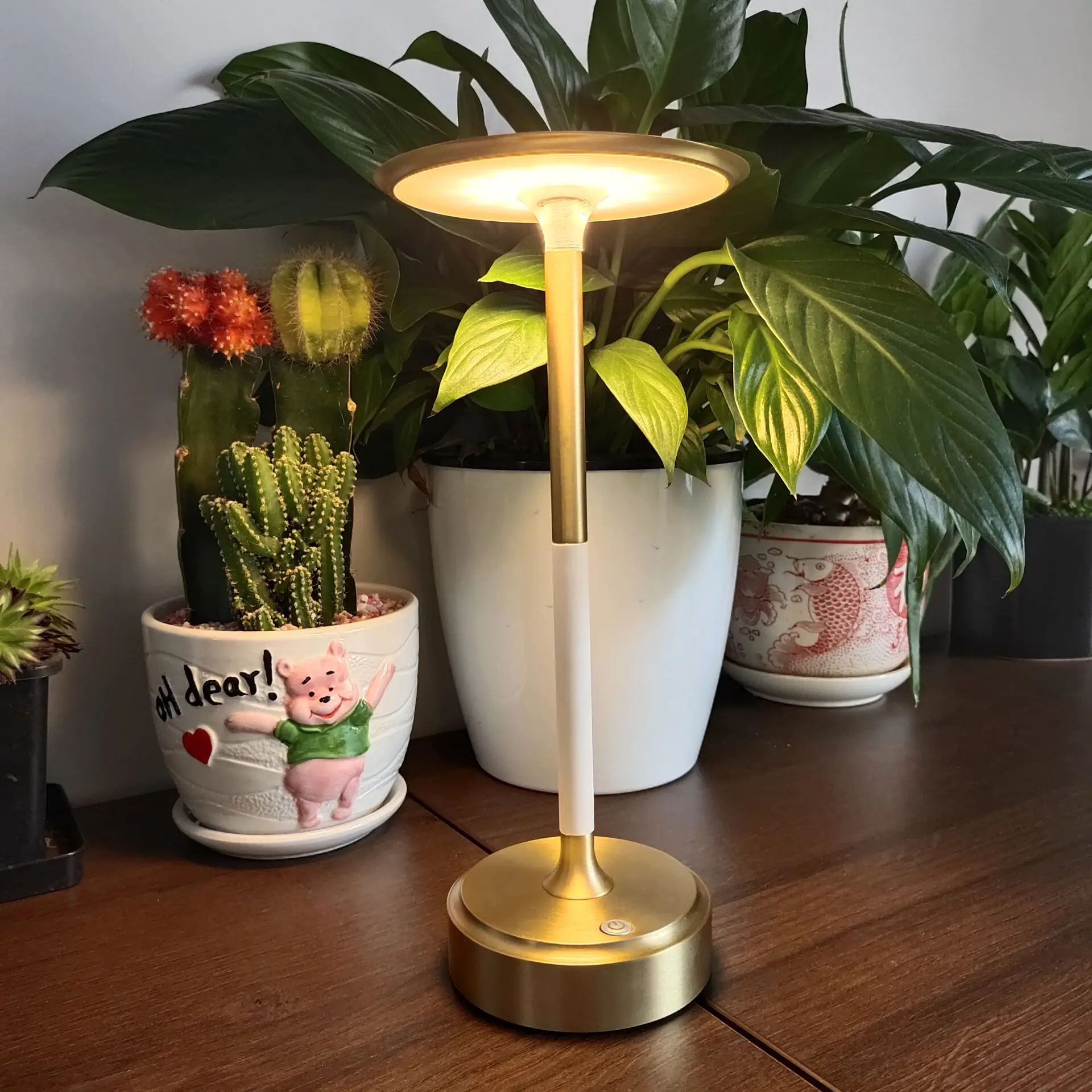 LED Table Lamps Restaurant Gold Desk Light Rehargeable plug charging Button switch dimming Bedroom Office Stand Light Home Decor
LED Table Lamps Restaurant Gold Desk Light Rehargeable plug charging Button switch dimming Bedroom Office Stand Light Home Decor
