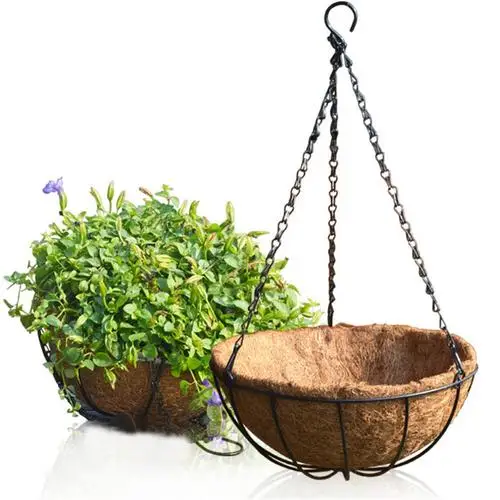 8 Inch Wire Outdoor Coconut Palm Hanging Baskets Liners Decoration Iron Art Wall Mounted Flower Basket Balcony Flowers Grass
8 Inch Wire Outdoor Coconut Palm Hanging Baskets Liners Decoration Iron Art Wall Mounted Flower Basket Balcony Flowers Grass