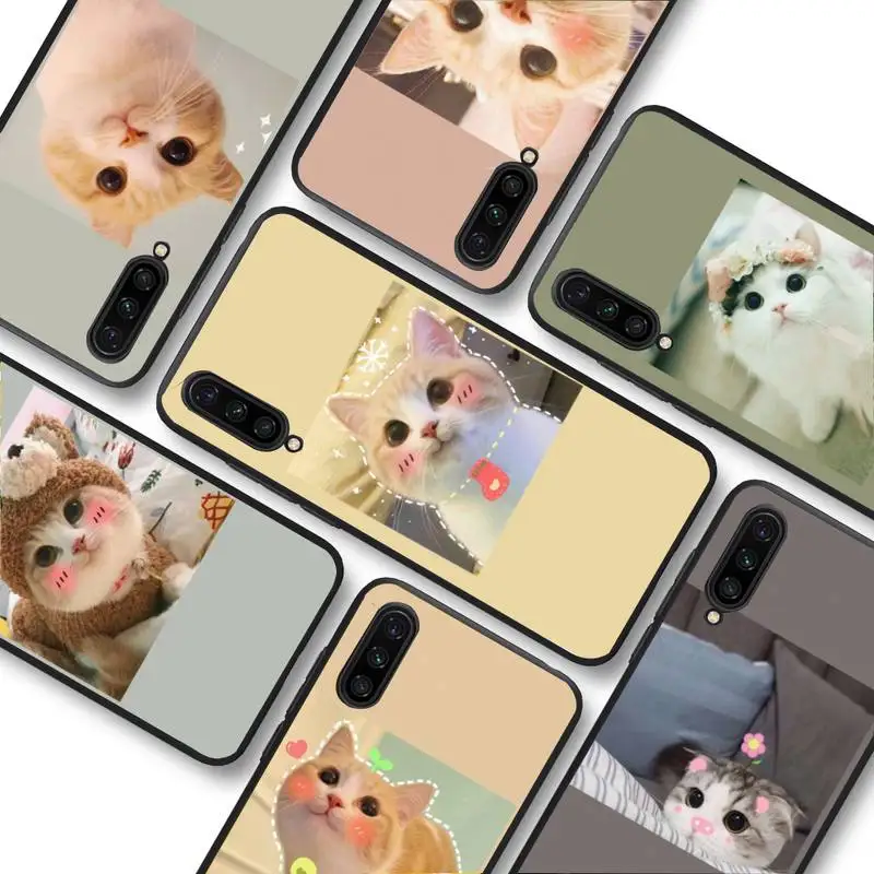 Cute Cat Phone Case For Redmi 9 5 S2 K30pro Silicone Fundas for Redmi 8 7 7A note 5 5A Capa
Cute Cat Phone Case For Redmi 9 5 S2 K30pro Silicone Fundas for Redmi 8 7 7A note 5 5A Capa