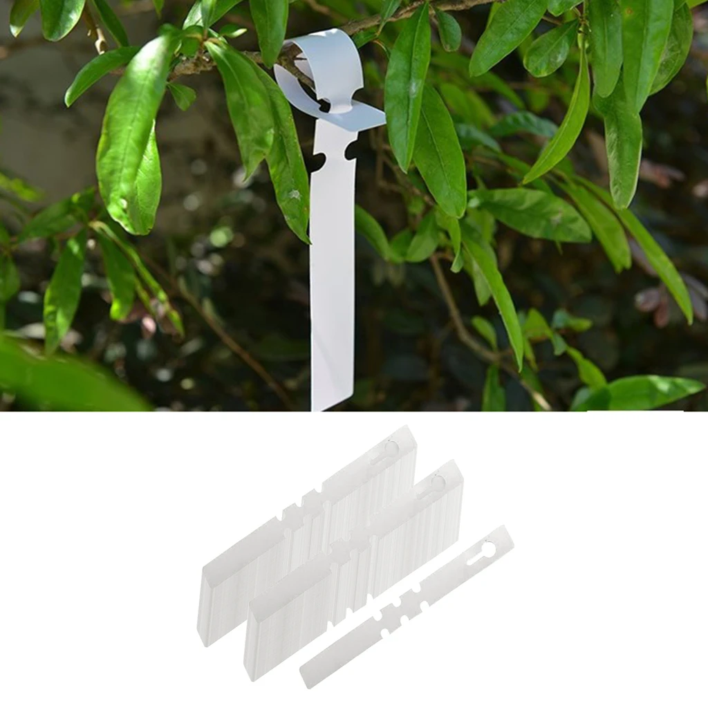 100 Pcs White Plastic Plant Tree Tags Nursery Garden Lables 2x20cm Wrap Around ing Tags Nursery Garden Stakes 
100 Pcs White Plastic Plant Tree Tags Nursery Garden Lables 2x20cm Wrap Around ing Tags Nursery Garden Stakes