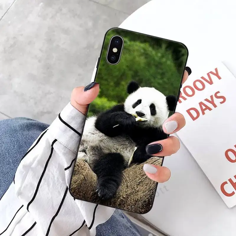 animal panda Phone Cases for iPhone 11 12 mini pro XS MAX 8 7 6 6S Plus X 5S SE 2020 XR
animal panda Phone Cases for iPhone 11 12 mini pro XS MAX 8 7 6 6S Plus X 5S SE 2020 XR