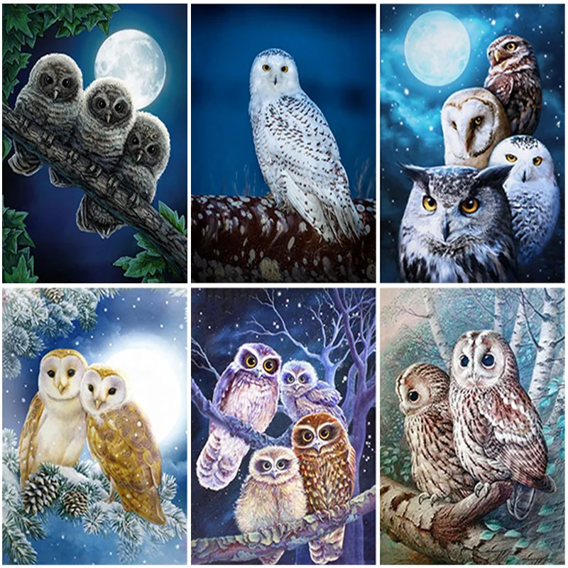 DIY Owl 5D Diamond Painting Full Square Drill Animal Diamond Embroidery Mosaic Cross Stitch Kits Resin Home Decor Christmas Gift
DIY Owl 5D Diamond Painting Full Square Drill Animal Diamond Embroidery Mosaic Cross Stitch Kits Resin Home Decor Christmas Gift