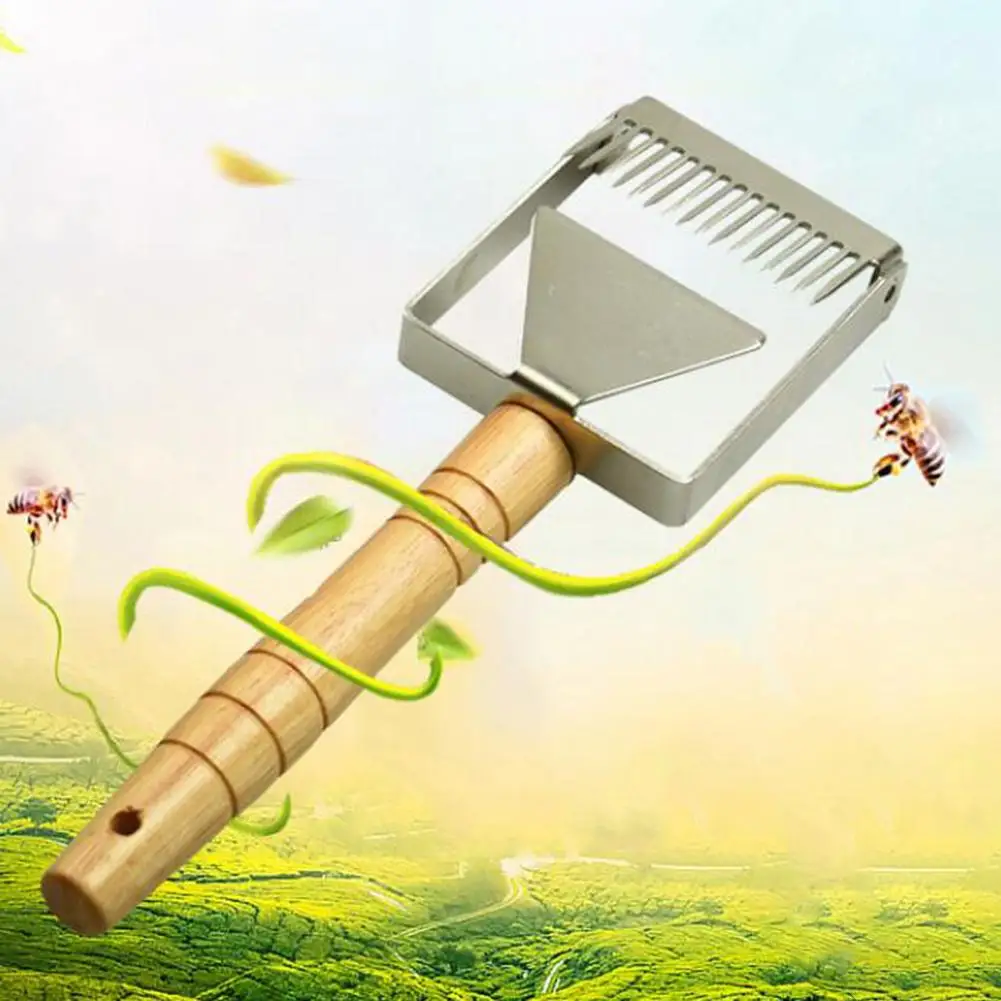 Multifunctional Stainless Steel Double Needle Beekeeping Tools Suitable for Uncapping Forks Honey Honeycomb Scraper
Multifunctional Stainless Steel Double Needle Beekeeping Tools Suitable for Uncapping Forks Honey Honeycomb Scraper