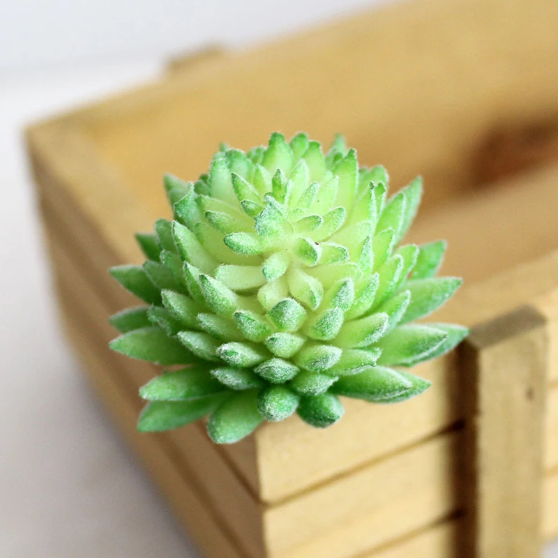 Artifical Plastic Succulent Plant Cactus Echeveria Flower Home Office Decor Gift Decor Background Ornamental Plants Plastic
Artifical Plastic Succulent Plant Cactus Echeveria Flower Home Office Decor Gift Decor Background Ornamental Plants Plastic