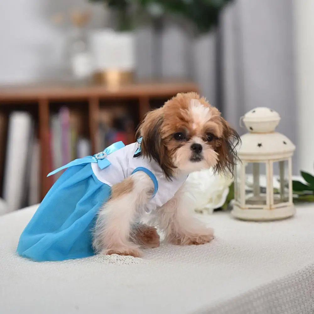 Hot Sales!! Lovely Pet Puppy Dog Tutued Dress Bowknot Gauze Skirt Summer Sleeveless Clothes
Hot Sales!! Lovely Pet Puppy Dog Tutued Dress Bowknot Gauze Skirt Summer Sleeveless Clothes