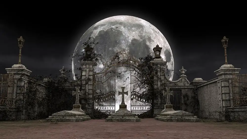 Gothic cemetery gate photography backdrop full moon night Halloween background photocall photoshoot studio props portrait
Gothic cemetery gate photography backdrop full moon night Halloween background photocall photoshoot studio props portrait