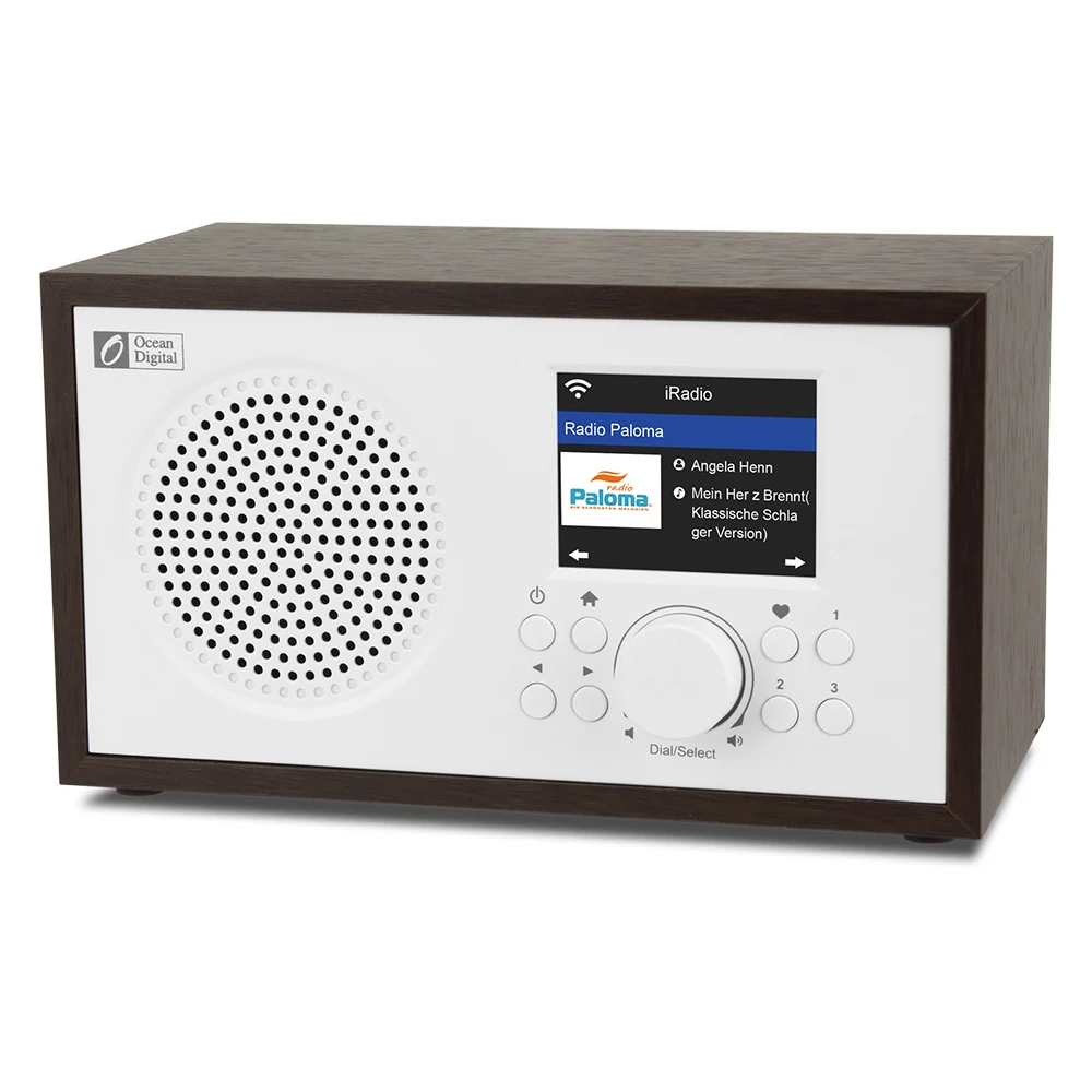 

Wi-Fi internet radios WR100F FM Digital Radio with Bluetooth Speaker & Sleep Radio, Aux in, 26000+ Stations, 2.4" Color Display