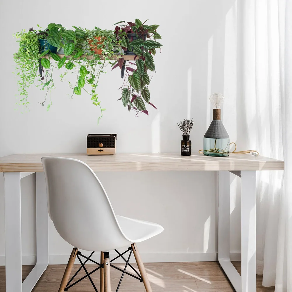 Green Plants Wall Art Stickers Waterproof Removable Decal Home Room Decor Green Plants Wall Art Sticker
Green Plants Wall Art Stickers Waterproof Removable Decal Home Room Decor Green Plants Wall Art Sticker