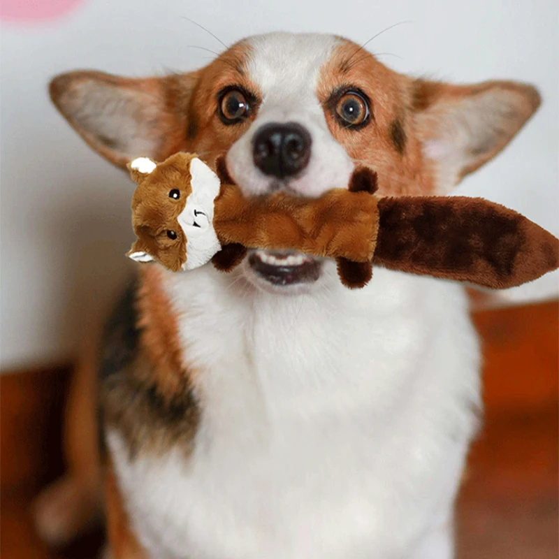 Pet Dog Toy Squirrel Raccoon Plush Bite Resistant Molar Vocal Products Corduroy Dog Toys for Small Large Dogs Supplies
Pet Dog Toy Squirrel Raccoon Plush Bite Resistant Molar Vocal Products Corduroy Dog Toys for Small Large Dogs Supplies