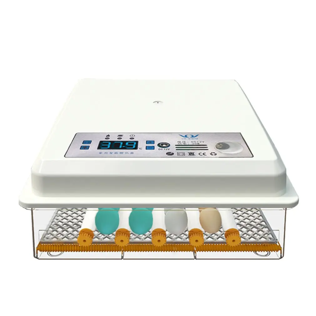 220V Egg Incubator Brooder Bird Incubators Hatchers Chickens Poultry Hatcher Farm Automatic Hatchery Incubation Tools
220V Egg Incubator Brooder Bird Incubators Hatchers Chickens Poultry Hatcher Farm Automatic Hatchery Incubation Tools