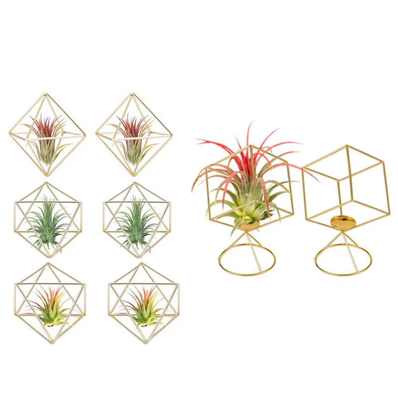 8 Pack Air Plant Holder Tillandsia Air Plants Stand Hanging Containers Display Racks Hanging Tabletop Himmeli Decor
8 Pack Air Plant Holder Tillandsia Air Plants Stand Hanging Containers Display Racks Hanging Tabletop Himmeli Decor