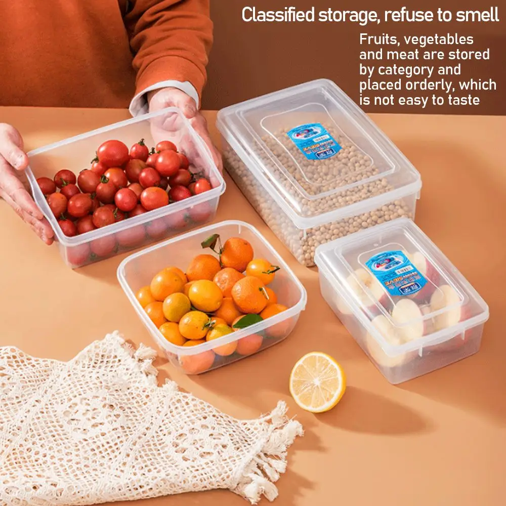 Transparent Fresh-keeping box Food Kids School Dinnerware Camping Tableware Meal Storage Container Camping Tableware 13 Sizes
Transparent Fresh-keeping box Food Kids School Dinnerware Camping Tableware Meal Storage Container Camping Tableware 13 Sizes