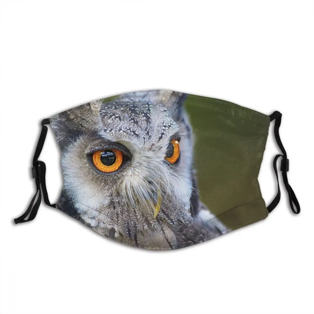 Owl Animal Washable Printed Mouth Face Mask with Filters Anti Haze Dust Proof Winter Protection Cover Muffle for Adult
Owl Animal Washable Printed Mouth Face Mask with Filters Anti Haze Dust Proof Winter Protection Cover Muffle for Adult