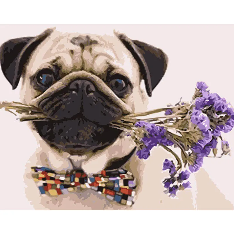 DIY Painting By Numbers Modern Wall Art Picture Figure Oil Painting Flowers Paint By Numbers For Home Decor Gift
DIY Painting By Numbers Modern Wall Art Picture Figure Oil Painting Flowers Paint By Numbers For Home Decor Gift