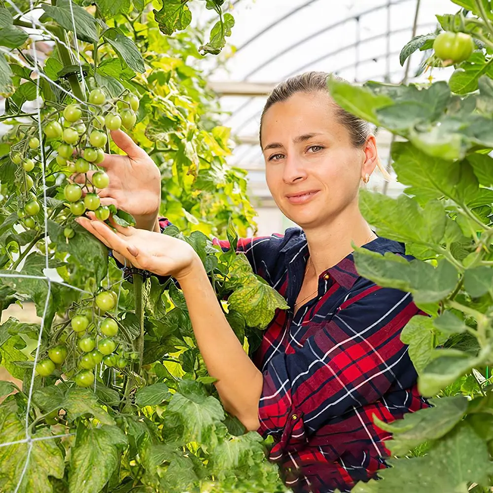 Plant Trellis Netting Heavy-Duty Polyester Plant Support Vine Climbing Hydroponics Garden Net Accessories Multi Use Polyester
Plant Trellis Netting Heavy-Duty Polyester Plant Support Vine Climbing Hydroponics Garden Net Accessories Multi Use Polyester