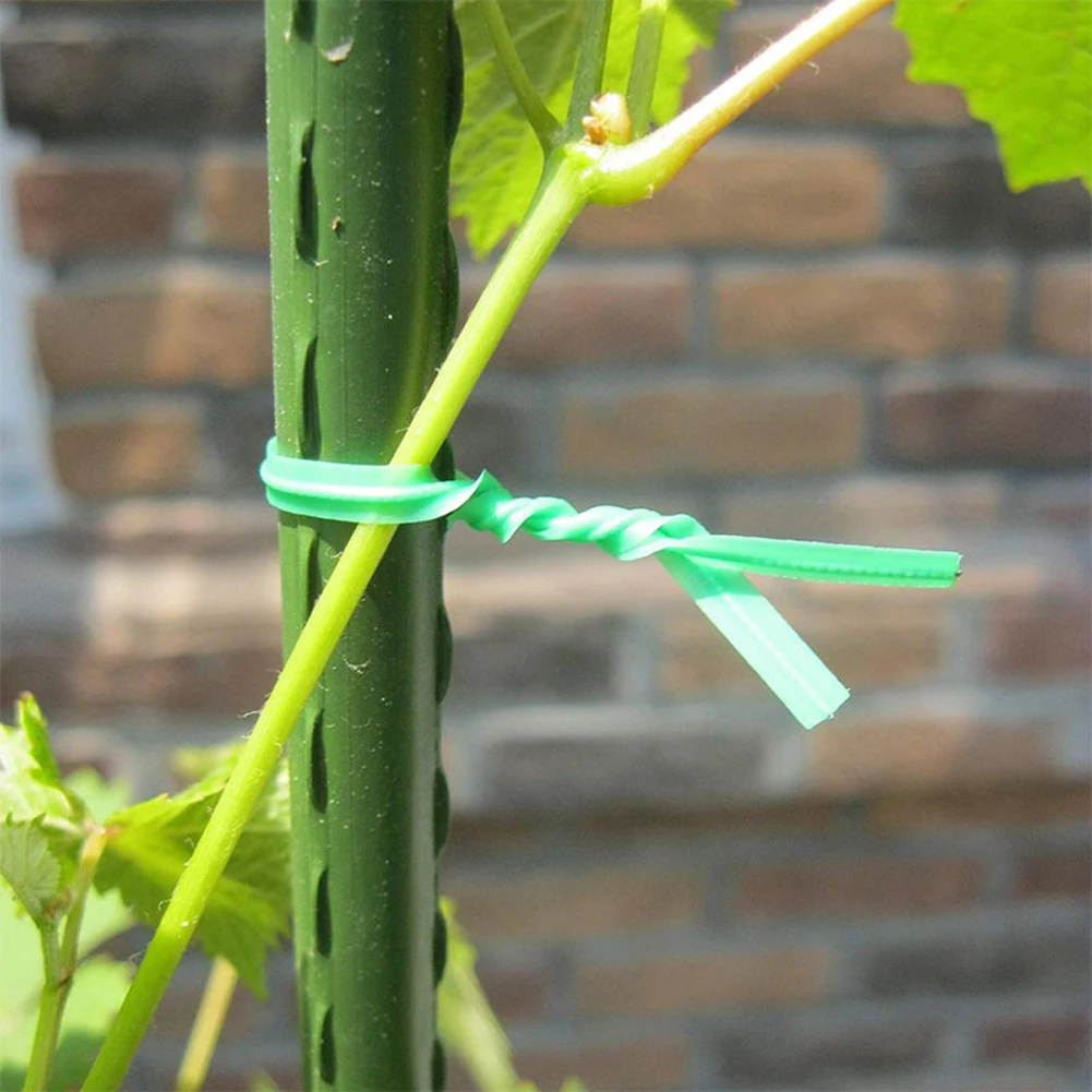 Green Garden Plant Ties Reusable Eco-friendly Nice Plastic Coating 100 meters/328 Feet Twist Ties with Cutter Tie Wire Gardening
Green Garden Plant Ties Reusable Eco-friendly Nice Plastic Coating 100 meters/328 Feet Twist Ties with Cutter Tie Wire Gardening