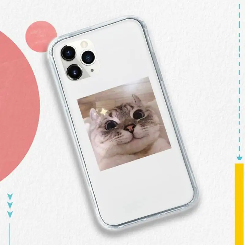 Cat cute funny animal Phone Case Transparent soft For iphone 5 5s 5c se 6 6s 7 8 11 12 plus mini x xs xr pro max
Cat cute funny animal Phone Case Transparent soft For iphone 5 5s 5c se 6 6s 7 8 11 12 plus mini x xs xr pro max