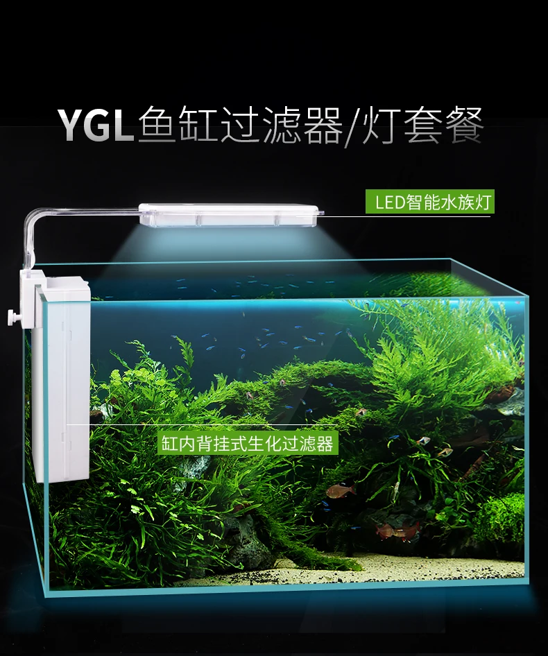 Ultra White Fish Tank Glass Aquarium Desktop Living Room Lazy Free Water Small Rectangular Turtle Fighting Goldfish 
Ultra White Fish Tank Glass Aquarium Desktop Living Room Lazy Free Water Small Rectangular Turtle Fighting Goldfish