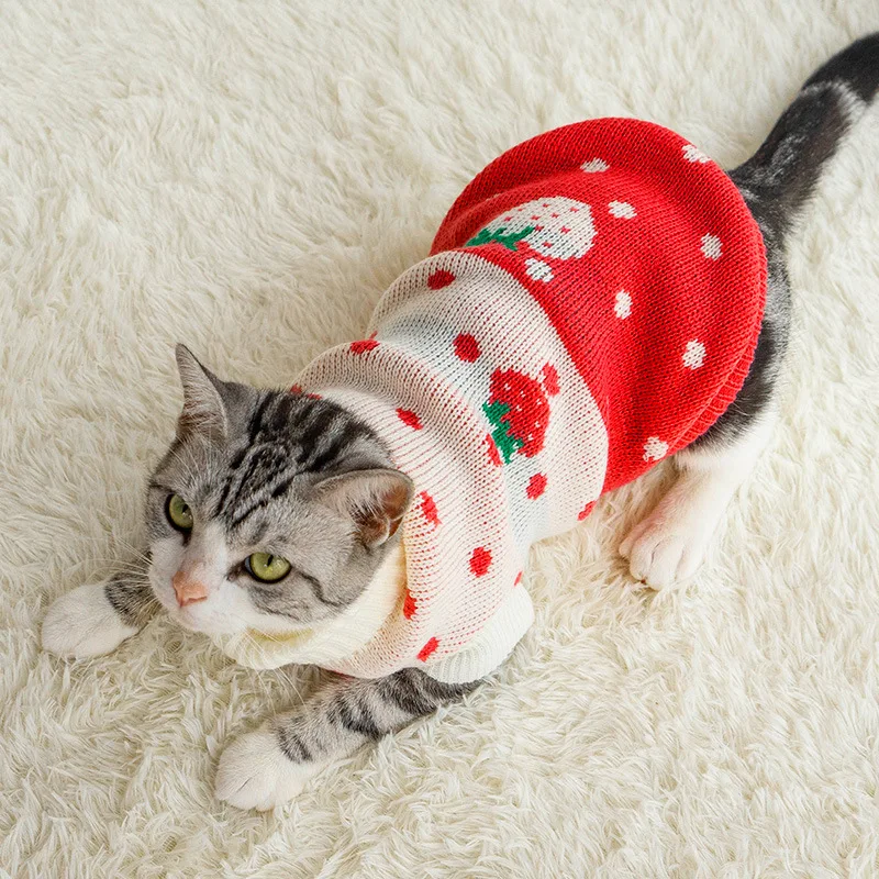Cat and dog autumn and winter clothing pet blue cat hairless cat warm cute turtleneck sweater Teddy Bichon sweater pet supplies
Cat and dog autumn and winter clothing pet blue cat hairless cat warm cute turtleneck sweater Teddy Bichon sweater pet supplies