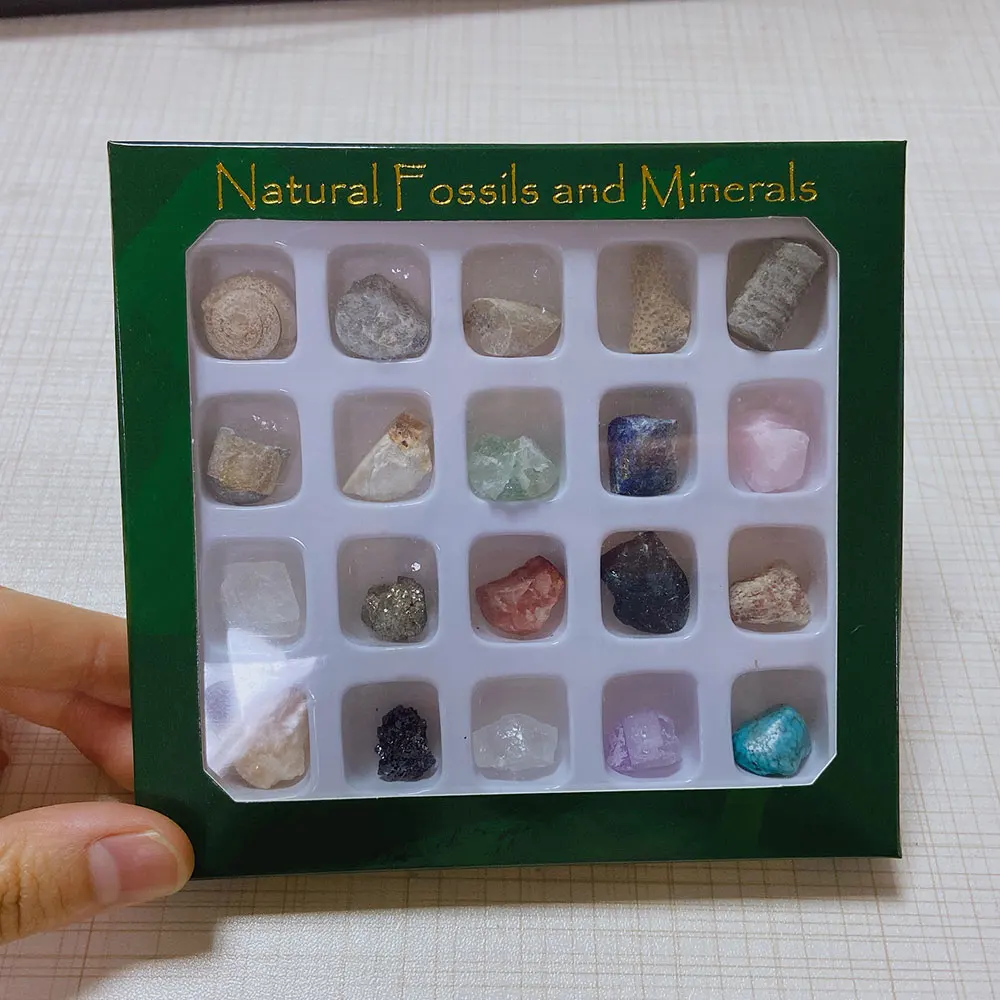 20pcs/Set Natural Irregular Stones Box for Children Education Home Fossiles Decor Raw Minerals Crystals Specimen Collection Gems
20pcs/Set Natural Irregular Stones Box for Children Education Home Fossiles Decor Raw Minerals Crystals Specimen Collection Gems
