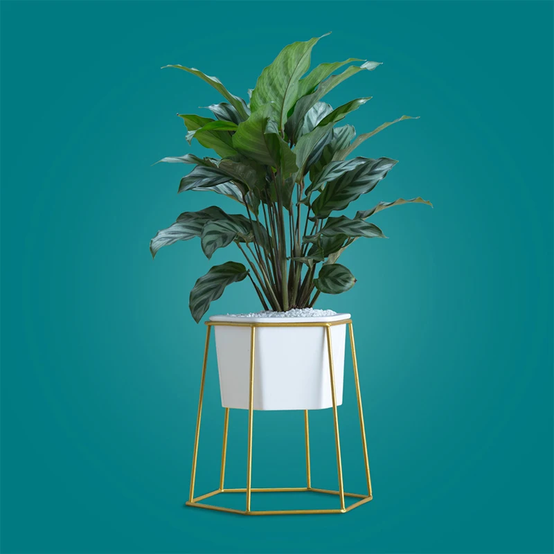 Simple Ceramic Iron Planting Flowerpot, Nordic Ins Wind Green Planting Flowerpot, Desktop Vase, Creative Home Decoration 
Simple Ceramic Iron Planting Flowerpot, Nordic Ins Wind Green Planting Flowerpot, Desktop Vase, Creative Home Decoration