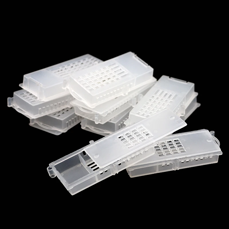 100Pcs Bee Tool Bee Transport Cages Beekeeping Equipment Queen House Beehive Bee Cage Transparent Bee Cage Beekeeping Supplies
100Pcs Bee Tool Bee Transport Cages Beekeeping Equipment Queen House Beehive Bee Cage Transparent Bee Cage Beekeeping Supplies