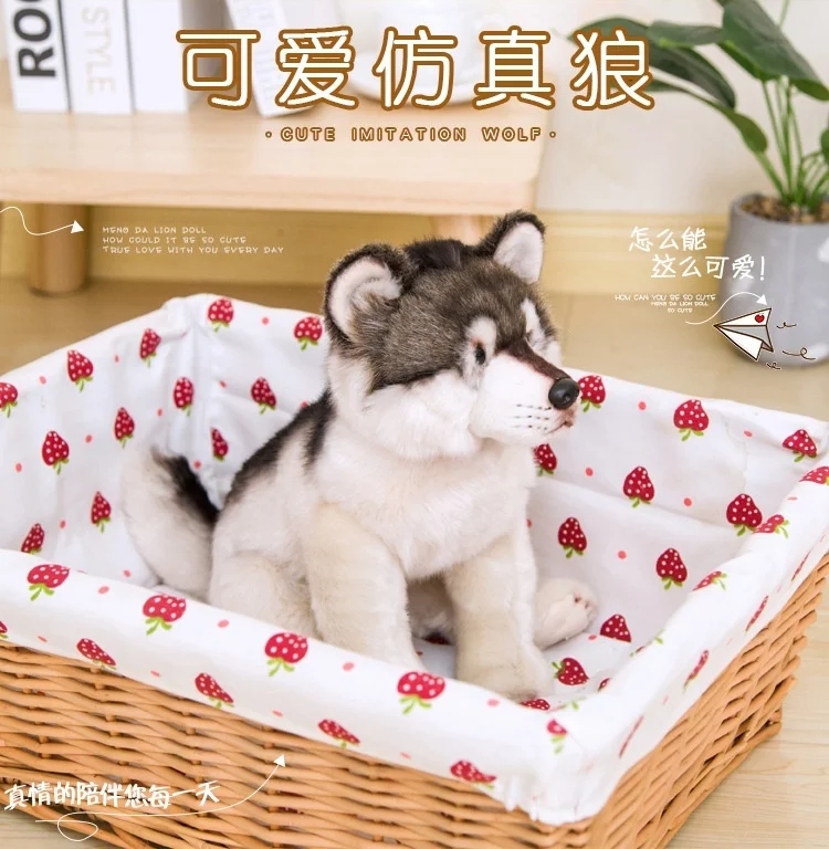 Simulation Little Wolf Plush Doll Plush Toy Stuffed Toys Children's Toys Birthday Present Home Decoration Simulation Animal Toy 
Simulation Little Wolf Plush Doll Plush Toy Stuffed Toys Children's Toys Birthday Present Home Decoration Simulation Animal Toy