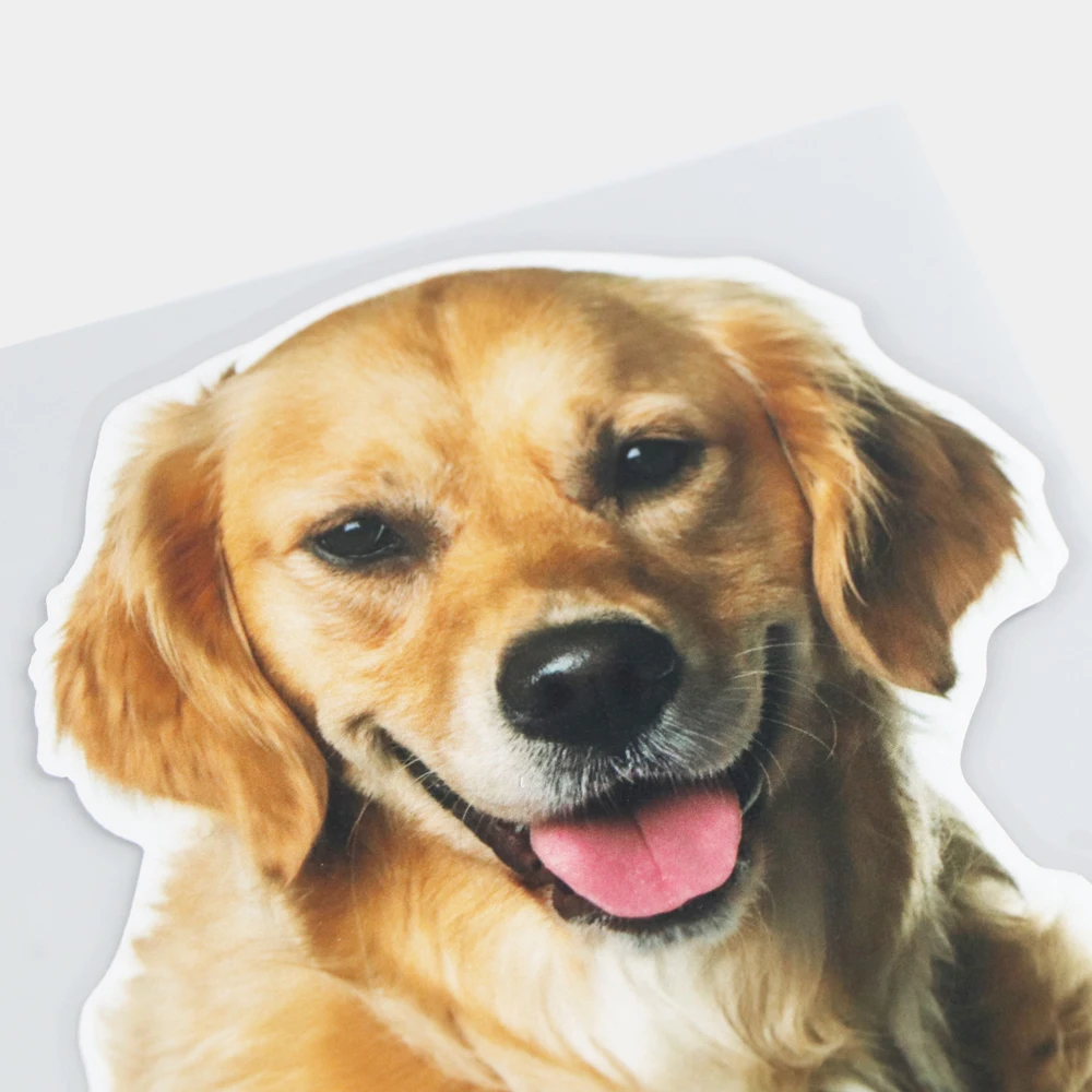 YJZT 14.815.9CM Smiling Golden Retriever Creative Window Decoration Lovely Animal Car Sticker 21A-0579
YJZT 14.815.9CM Smiling Golden Retriever Creative Window Decoration Lovely Animal Car Sticker 21A-0579