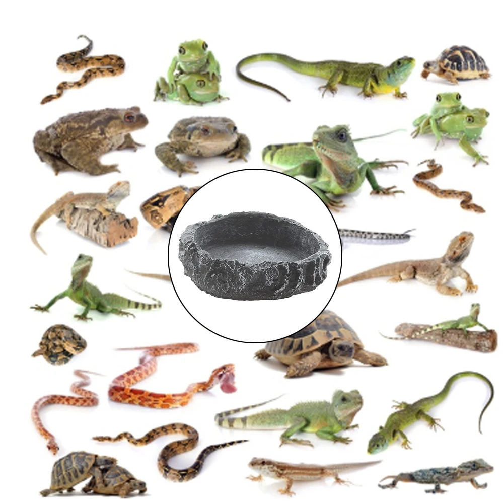 Pet Reptile Feeder Bowl Basin Turtle Water Scorpion for Pets Tortoise Pot Resin Non-Toxic Crabs Feeding Tray Food Lizard 2021
Pet Reptile Feeder Bowl Basin Turtle Water Scorpion for Pets Tortoise Pot Resin Non-Toxic Crabs Feeding Tray Food Lizard 2021