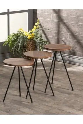 Modern Zigon coffee table 3 Pcs Metal Foot Walnut coffee tables table basse furniture living room table
Modern Zigon coffee table 3 Pcs Metal Foot Walnut coffee tables table basse furniture living room table