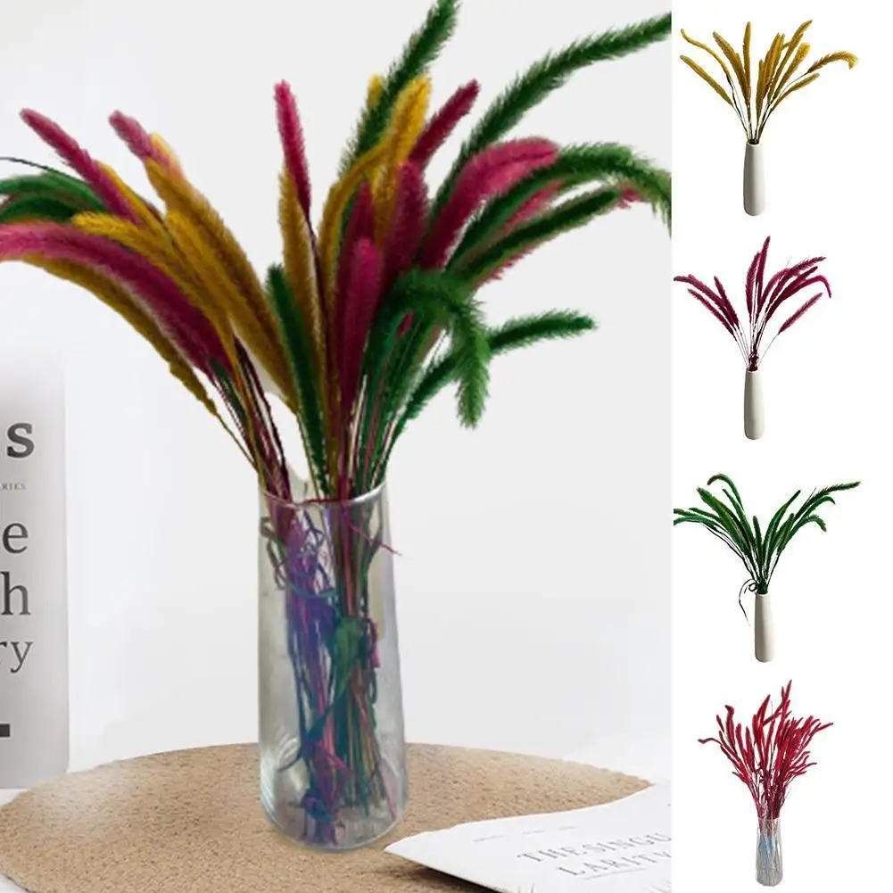 Natural Reed Plant Bouquet Dried Small Pampas Grass Phragmites Artificial Plants Wedding Decoration Flower Bunch For Home Decor
Natural Reed Plant Bouquet Dried Small Pampas Grass Phragmites Artificial Plants Wedding Decoration Flower Bunch For Home Decor