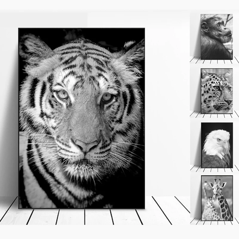 Tiger Leopard Eagle Black White Nordic Posters And Prints Wall Art Canvas Painting Animal Wall Pictures For Living Room Decor
Tiger Leopard Eagle Black White Nordic Posters And Prints Wall Art Canvas Painting Animal Wall Pictures For Living Room Decor