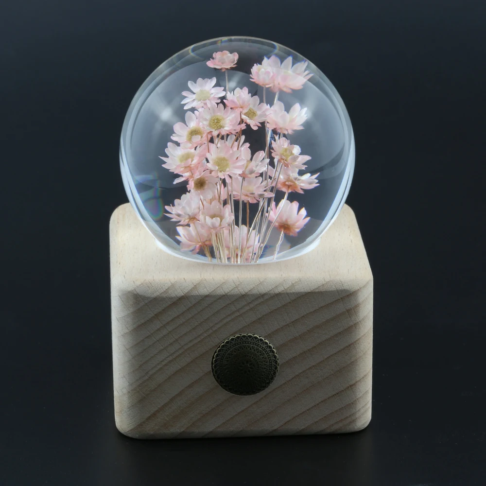 Natural Red Daisy Flower Specimen Crystal Glass Resin LensBall With Stand Xmas Mom Girlfriend Gift Home Decor Globe Magic Sphere
Natural Red Daisy Flower Specimen Crystal Glass Resin LensBall With Stand Xmas Mom Girlfriend Gift Home Decor Globe Magic Sphere