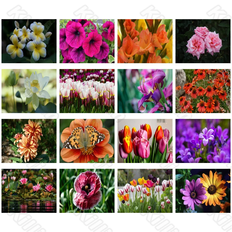 Diy Diamond Decoration Painting Flower White Lily and Pink Tulip Square Diamond Round Diamond Customizable Wall Art Decoration
Diy Diamond Decoration Painting Flower White Lily and Pink Tulip Square Diamond Round Diamond Customizable Wall Art Decoration